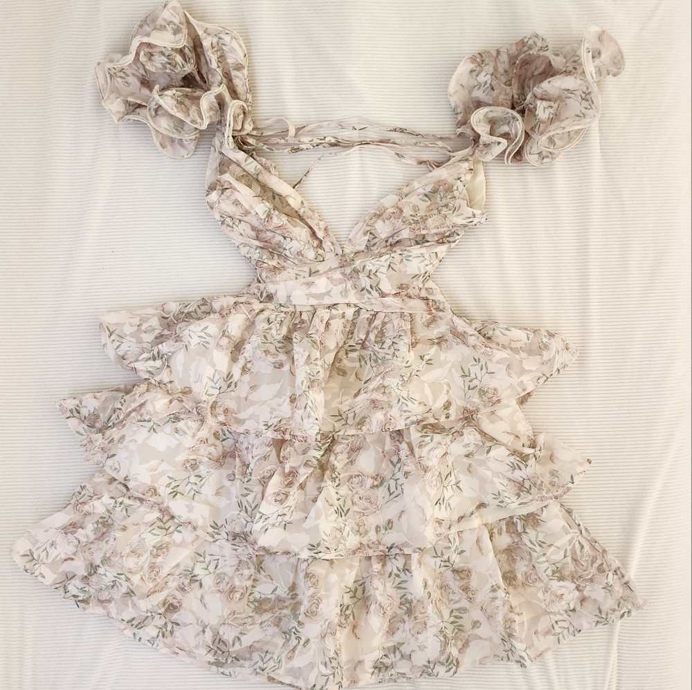 Storia Rose and Leaves Print Romantic Mini Dress
